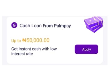 money from palmpay app