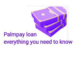 Palmpay Loan Code