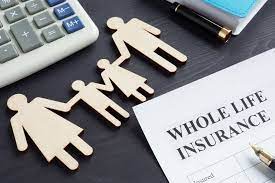 Whole life insurance pros and cons, explained insurance.bisnisonlineusaharumahan.com